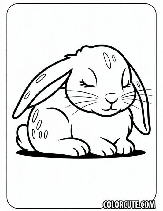 Sleeping Bunny Coloring Pages | Free PDF Printables