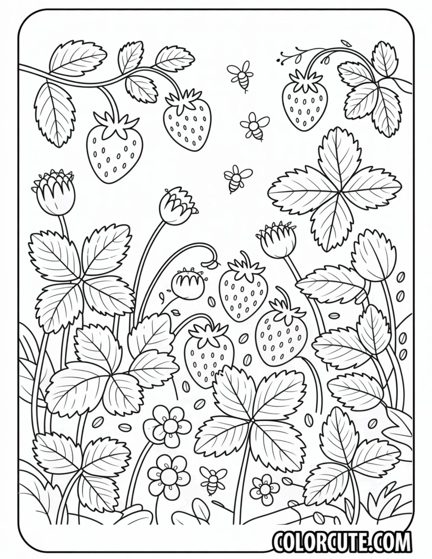 Garden Strawberry Coloring Pages – Free PDF Printables