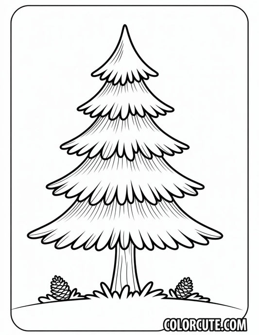 Pine Tree Coloring Pages - Free PDF Printables